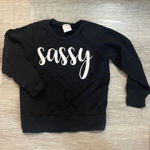 Posh and Cozy Crewneck